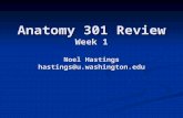 Anatomy 301 Review Week 1 Noel Hastings hastings@u.