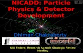 Dhiman ChakrabortyNICADD: Particle Physics & Detector Development 1 Dhiman Chakraborty NIU Federal Research Agenda Strategic Review Meeting 28 Nov, 2005.