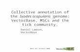 BRC6 28 th October 2008 Collective annotation of the Ixodes scapularis genome: VectorBase, MSCs and the tick community. Daniel Lawson, VectorBase.