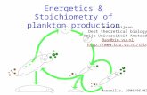 Energetics & Stoichiometry of plankton production Bas Kooijman Dept theoretical biology Vrije Universiteit Amsterdam Bas@bio.vu.nl