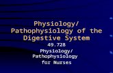 Physiology/Pathophysiology of the Digestive System 49.728 Physiology/Pathophysiology for Nurses