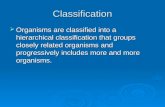 Classification  Organisms are classified into a hierarchical classification that groups closely related organisms and progressively includes more and.