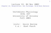 Lecture 19, 04 Nov 2003 Chapter 13, Respiration, Gas Exchange, Acid-Base Balance Vertebrate Physiology ECOL 437 University of Arizona Fall 2003 instr: