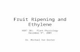 Fruit Ripening and Ethylene HORT 301: Plant Physiology December 9 th, 2009 Dr. Michael Van Oosten.
