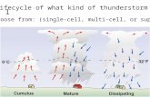 1 The lifecycle of what kind of thunderstorm is this? Choose from: (single-cell, multi-cell, or super-cell)
