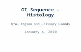 GI Sequence – Histology Oral region and Salivary Glands January 4, 2010.