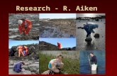 Research - R. Aiken. Hydrodynamics and grouping behaviour in barnacles Hermaphrodite mating strategies.