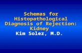 Schemas for Histopathological Diagnosis of Rejection: Kidney Schemas for Histopathological Diagnosis of Rejection: Kidney Kim Solez, M.D.