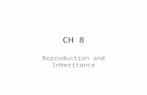 CH 8 Reproduction and Inheritance. Reproduction Asexual Reproduction Sexual Reproduction LM 340