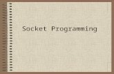 Socket Programming. Outline of the Talk Basic Concepts Socket Programming in C Socket Programming in Java Socket Programming in Perl Conclusion
