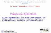The Marie Curie Research/Training Network on Dynamical Arrest Workshop Le Mans, November 19-22, 2005 Slow dynamics in the presence of attractive patchy.