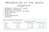 Metabolism of the whole organism Metabolic profiles of organs Metabolic conditions Blood glucose levels: 90 mg/dL Fuel reserves glucose triacylglycerols.
