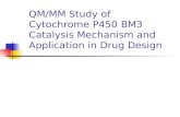 QM/MM Study of Cytochrome P450 BM3 Catalysis Mechanism and Application in Drug Design.