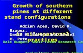 Growth of southern pines at different stand configurations in silvopastoral practices Adrian Ares, David K. Brauer, Adrian Ares, David K. Brauer, David.