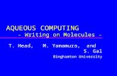 AQUEOUS COMPUTING - Writing on Molecules - T. Head, M. Yamamura, and S. Gal Binghamton University.