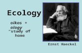 Ecology oikos + ology “study of home” Ernst Haeckel.