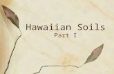 Hawaiian Soils Part I. Hawai‘i has a range of soils Hilo Soil Profile Green Sand Beach.