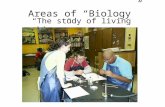 Areas of “Biology” “The study of living things” Copyright: G.Specht2001 t.