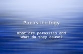Parasitology What are parasites and what do they cause?