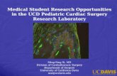 Medical Student Research Opportunities in the UCD Pediatric Cardiac Surgery Research Laboratory Ming-Sing Si, MD Division of Cardiothoracic Surgery Department.