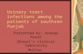 Urinary tract infections among the patients of southren Punjab Presented by: Aneeqa hayat Ghauri’s clinical laboratory Multan.