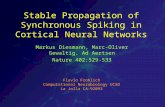 Stable Propagation of Synchronous Spiking in Cortical Neural Networks Markus Diesmann, Marc-Oliver Gewaltig, Ad Aertsen Nature 402:529-533 Flavio Frohlich.