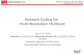 Network Coding and Reliable Communications Group Network Coding for Multi-Resolution Multicast March 17, 2010 MinJi Kim, Daniel Lucani, Xiaomeng (Shirley)