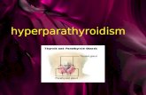 Hyperparathyroidism. parathyroid glands The parathyroid glands are four pea- sized glands located on the thyroid gland in the neck. Person is born with.