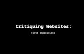 Critiquing Websites: First Impressions. critique guideline First Impressions Long Term Relationships