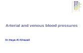 Arterial and venous blood pressures Dr.Haya Al-Ghazali.