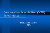 Venous thromboembolism (VTE) in obstetrics Dr.Roaa H. Gadeer MD.