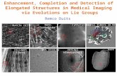 Enhancement, Completion and Detection of Elongated Structures in Medical Imaging via Evolutions on Lie Groups muscle cells bone-structure retinal bloodvessels.