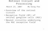 1 Retinal Circuit and Processing March 23, 2007 Mu-ming Poo Overview of the retinal circuit Receptive field (RF) of retinal ganglion cells (RGC) Neural.