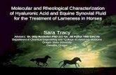 Molecular and Rheological Characterization of Hyaluronic Acid and Equine Synovial Fluid for the Treatment of Lameness in Horses Sara Tracy Advisors: Dr.