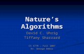Nature’s Algorithms David C. Uhrig Tiffany Sharrard CS 477R – Fall 2007 Dr. George Bebis.