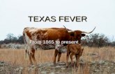 TEXAS FEVER From 1865 to present From 1865 to present.