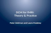DCM for fMRI: Theory & Practice Peter Zeidman and Laura Madeley.
