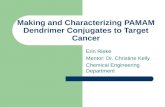 Making and Characterizing PAMAM Dendrimer Conjugates to Target Cancer Erin Rieke Mentor: Dr. Christine Kelly Chemical Engineering Department.