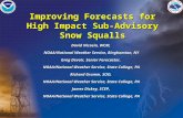 Improving Forecasts for High Impact Sub-Advisory Snow Squalls David Nicosia, WCM, NOAA/National Weather Service, Binghamton, NY Greg Devoir, Senior Forecaster,