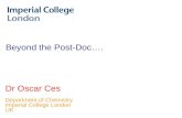 Beyond the Post-Doc…. Dr Oscar Ces Department of Chemistry Imperial College London UK.