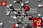 Large Molecule ~ Small Molecule Interactions Project Times Squared Academy Sorys E. Cepeda Jeffrey Doddio Instructor: Kerri Krawczyk.