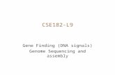 CSE182-L9 Gene Finding (DNA signals) Genome Sequencing and assembly.