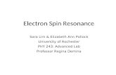 Electron Spin Resonance Sara Lim & Elizabeth Ann Pollock University of Rochester PHY 243: Advanced Lab Professor Regina Demina.