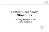 Protein Secondary Structures Assignment and prediction