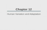 Chapter 12 Human Variation and Adaptation. Chapter Outline  Historical Views of Human Variation  The Concept of Race  Racism  Intelligence  Contemporary.