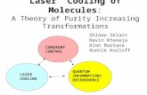 Laser Cooling of Molecules: A Theory of Purity Increasing Transformations COHERENT CONTROL LASER COOLING QUANTUM INFORMATION/ DECOHERENCE Shlomo Sklarz.