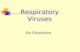 Respiratory Viruses An Overview. Viruses Associated with Respiratory Infections.