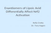 Enantiomers of Lipoic Acid Differentially Affect Nrf2 Activation Kelly Crotty Dr. Tory Hagen.