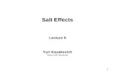 1 Salt Effects Lecture 5 Yuri Kazakevich Seton Hall University.