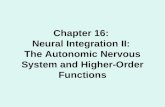 Chapter 16: Neural Integration II: The Autonomic Nervous System and Higher-Order Functions.